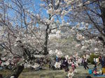100403_142325.jpg
