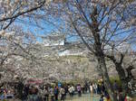 100403_142348.jpg