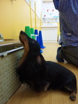 100409_142801.jpg