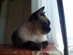 100515_102952.jpg