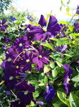 100602_143441.jpg