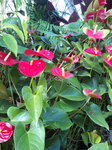 100602_144759.jpg