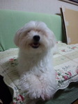 100621_194146.jpg