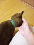 100825_183752.jpg