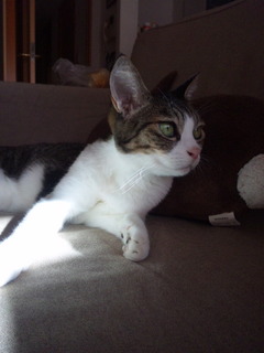 121008_083515.jpg