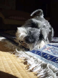 130104_095825.jpg