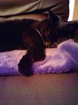 20100129195935.jpg