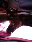 20100313003115.jpg